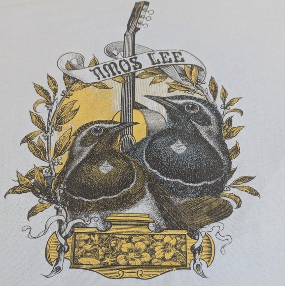 Amos Lee Concert Cap Sleeve Tee Featuring Birds and Guitar Neck XL - Picture 1 of 6